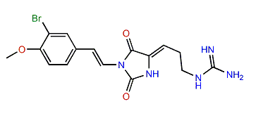 Parazoanthine E